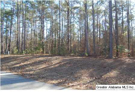 Lot 67 Laurel Way, Unit 67 Wedowee, AL 36278 - Photo 4 of 10