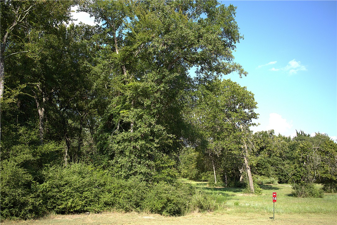 Lot 14 Sawmill Road Franklin, TX 77856 - Photo 3 of 15