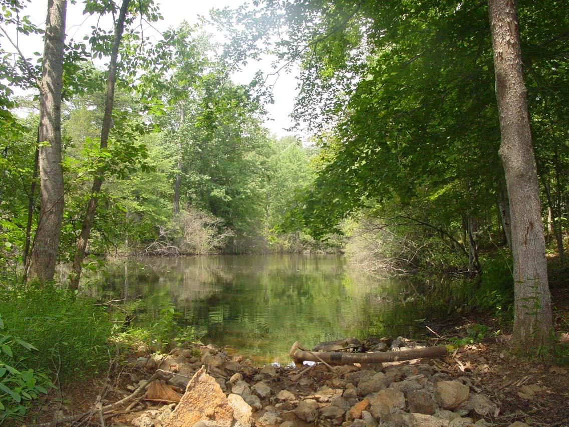 1497 Cutlass Road Moneta, VA 24121 - Photo 12 of 12 View of pond-cascades to Lake