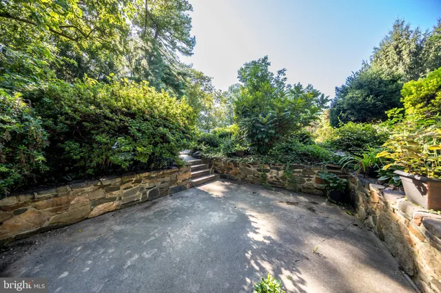a view of a yard with plants and trees