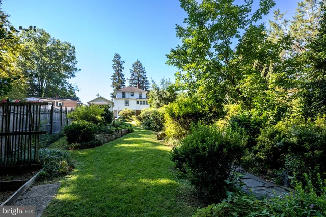 a view of a garden with plants and large trees