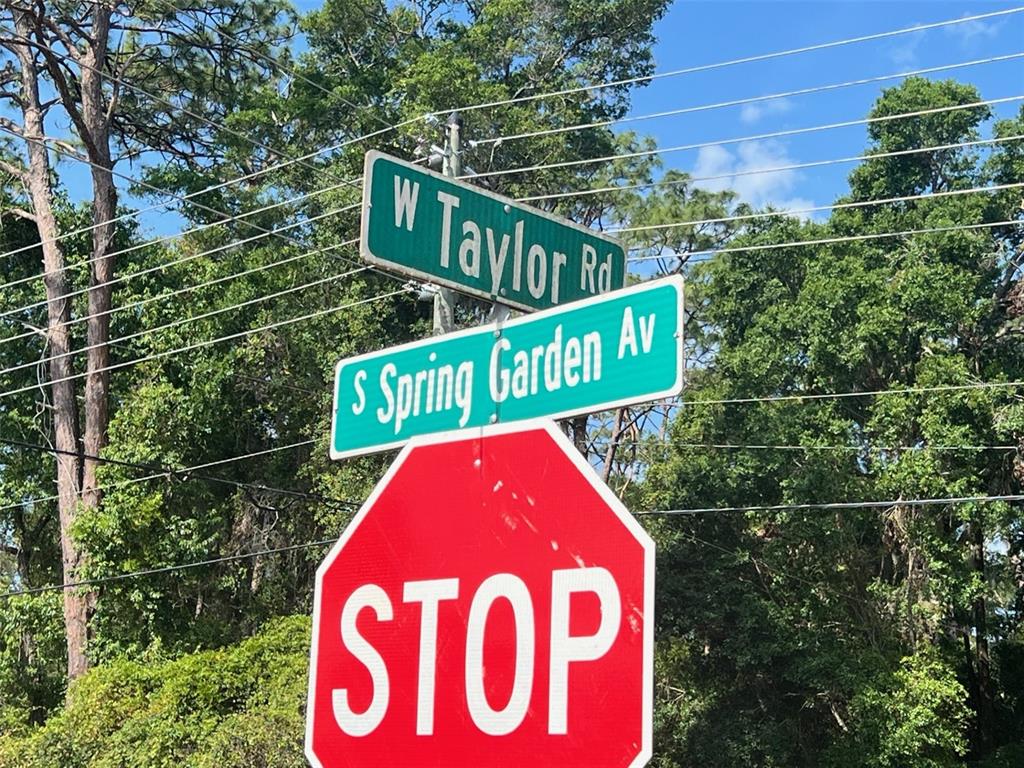 West Taylor Road DeLand, FL 32720 - Photo 10 of 10 Gallery Image 10