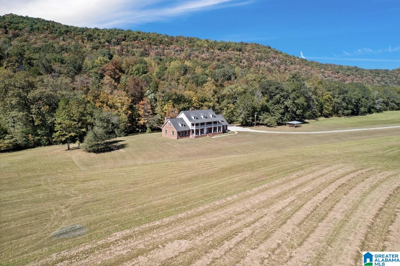 934 Fred Walker Road Oneonta, AL 35121 - Photo 75 of 78