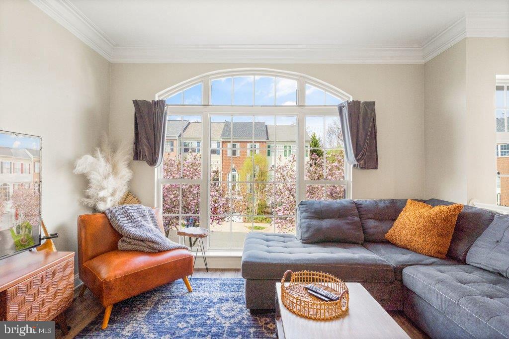 10136 Pale Rose Loop Bristow, VA 20136 - Photo 11 of 66 a living room with furniture and a large window
