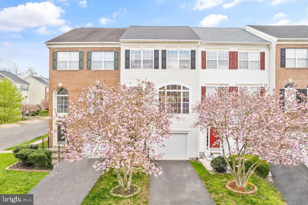 10136 Pale Rose Loop Bristow, VA 20136 - Photo 2 of 66 a front view of a house with a garden