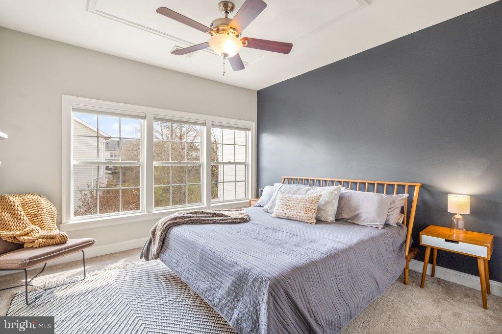 10136 Pale Rose Loop Bristow, VA 20136 - Photo 32 of 66