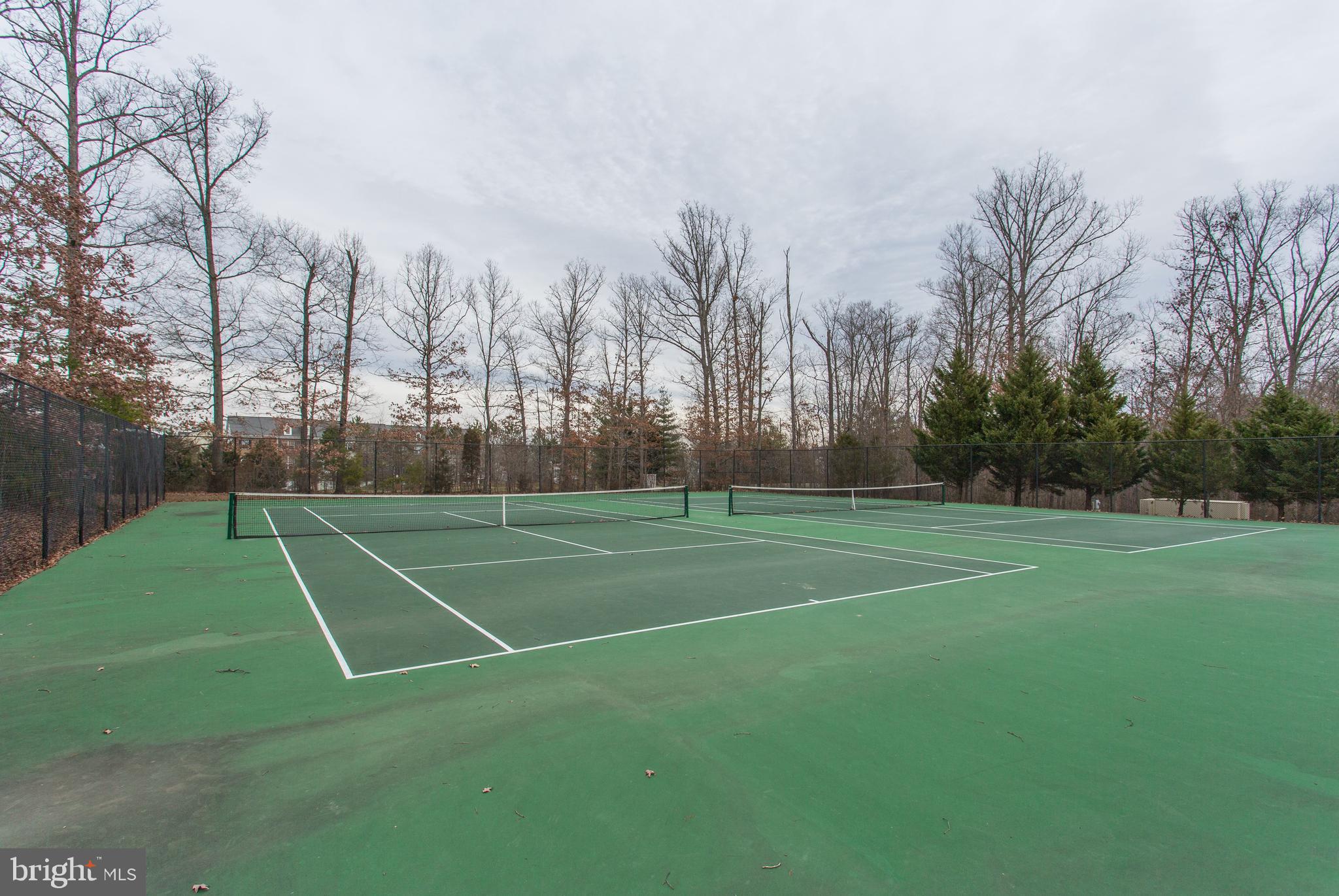 10136 Pale Rose Loop Bristow, VA 20136 - Photo 64 of 66 a view of a tennis court