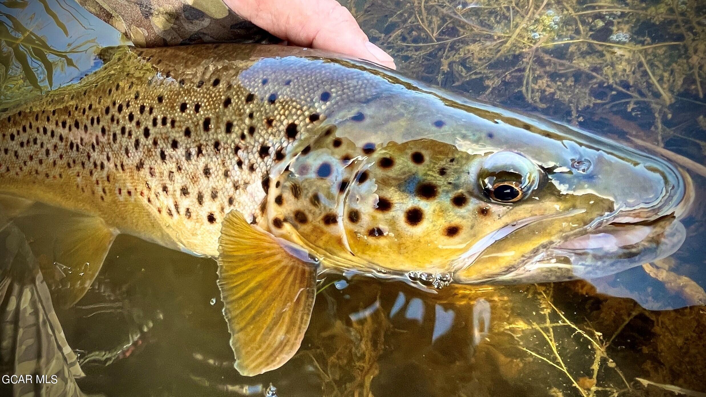 a view of water heater room
