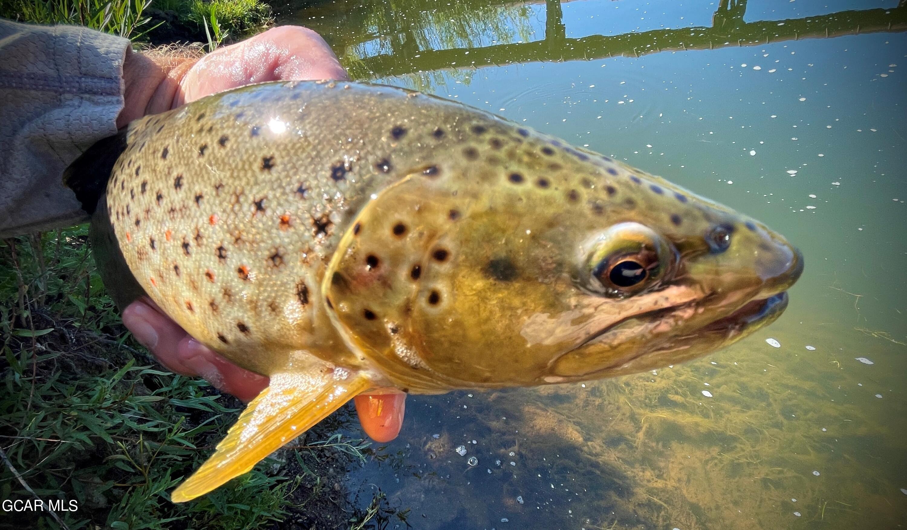 1921 Highway 9 Kremmling, CO 80459 - Photo 12 of 86 a view of a wooden floor