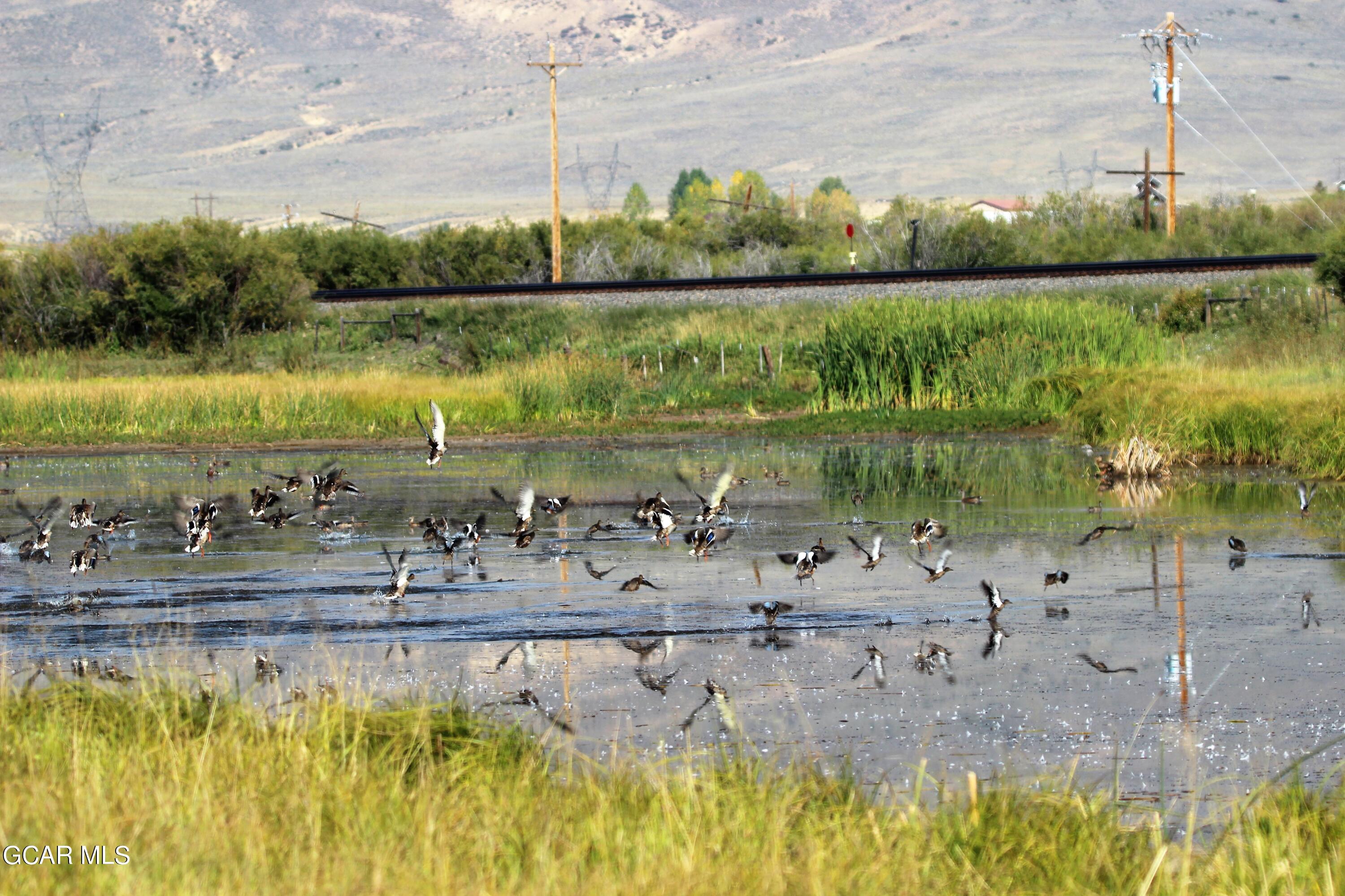 1921 Highway 9 Kremmling, CO 80459 - Photo 14 of 86 IMG_1842