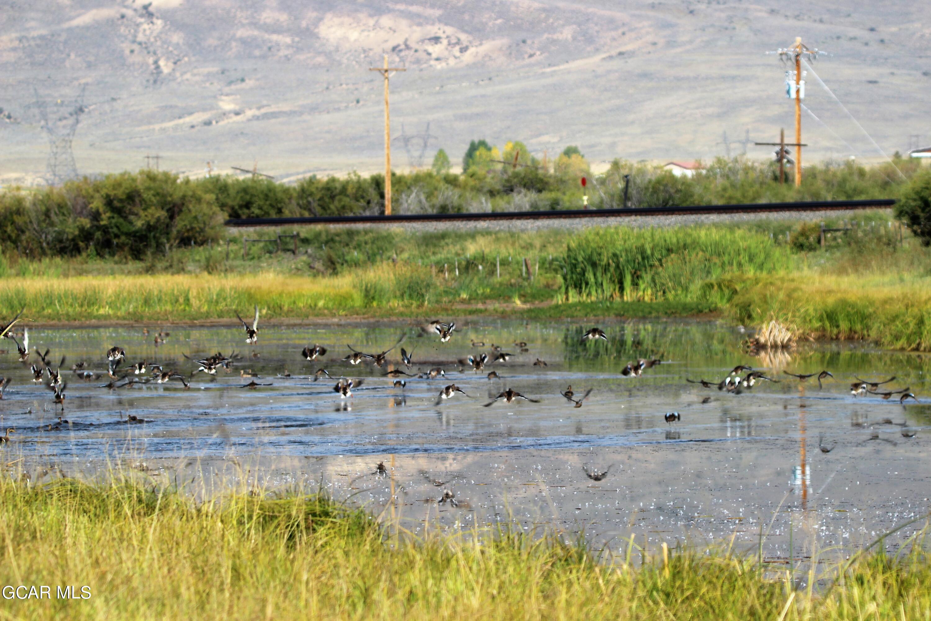 1921 Highway 9 Kremmling, CO 80459 - Photo 17 of 86 a view of a lake with a beach