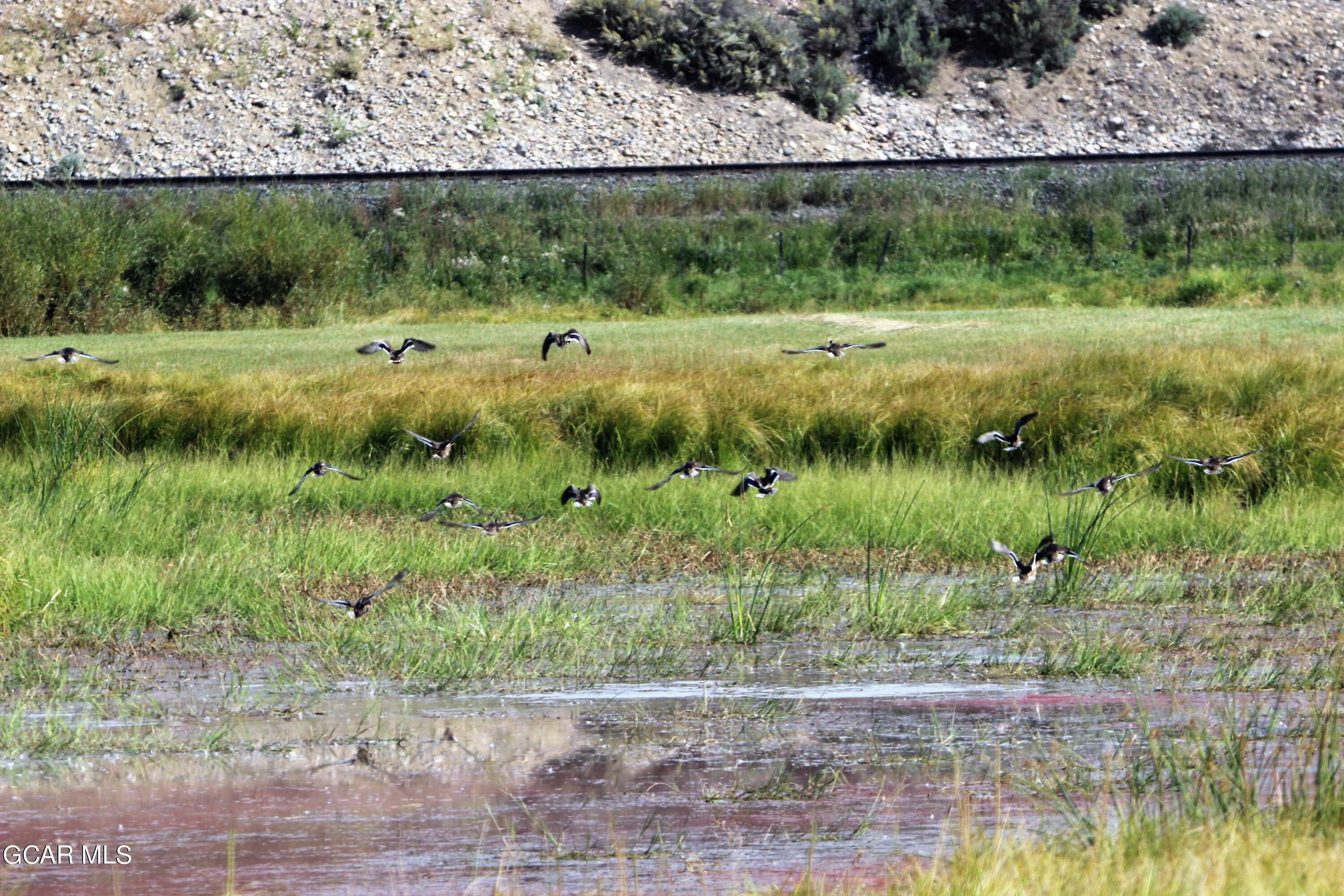 1921 Highway 9 Kremmling, CO 80459 - Photo 20 of 86 a view of a garden with a lake