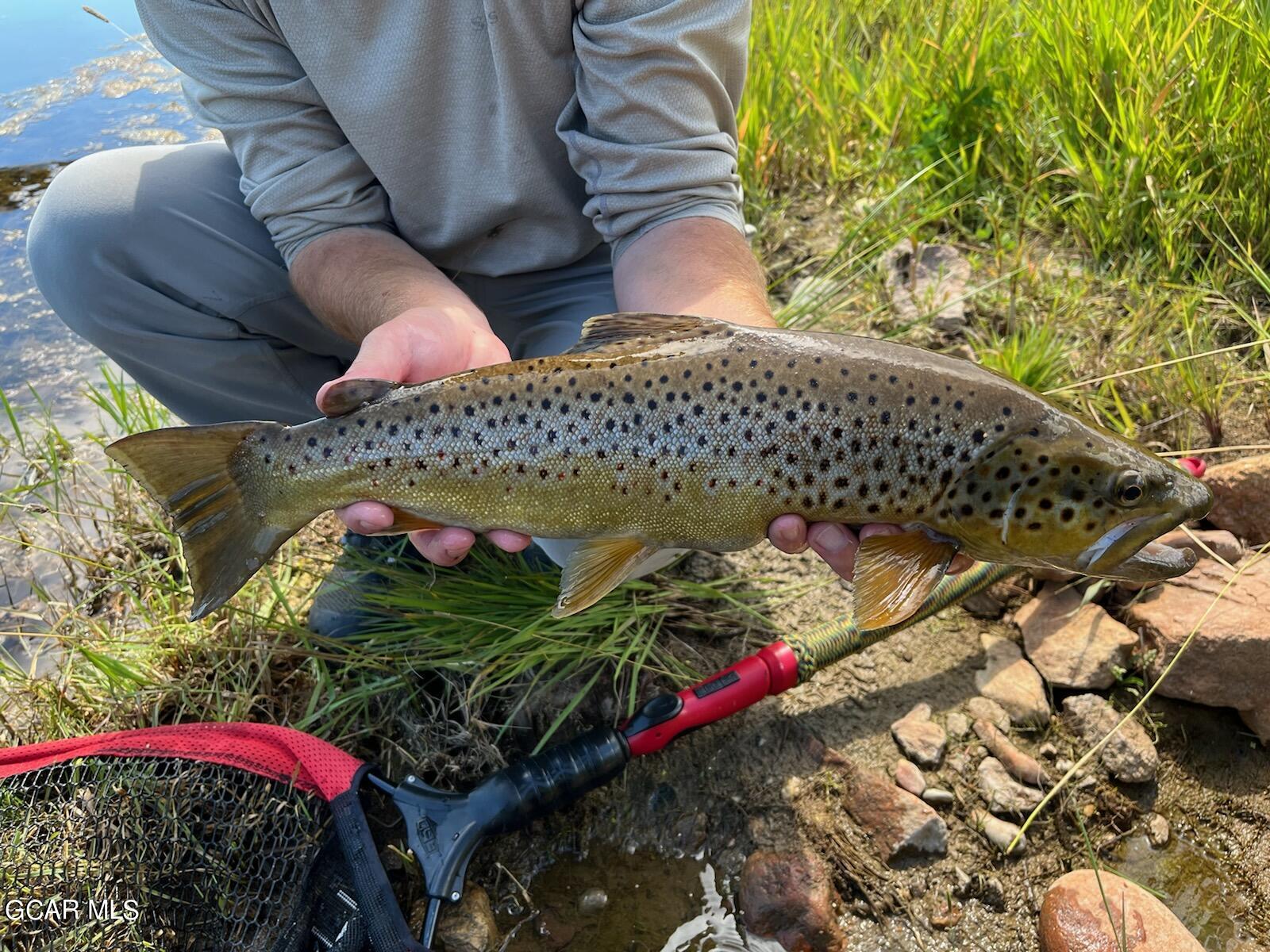 1921 Highway 9 Kremmling, CO 80459 - Photo 34 of 86 a view of a wooden bench in front of a house