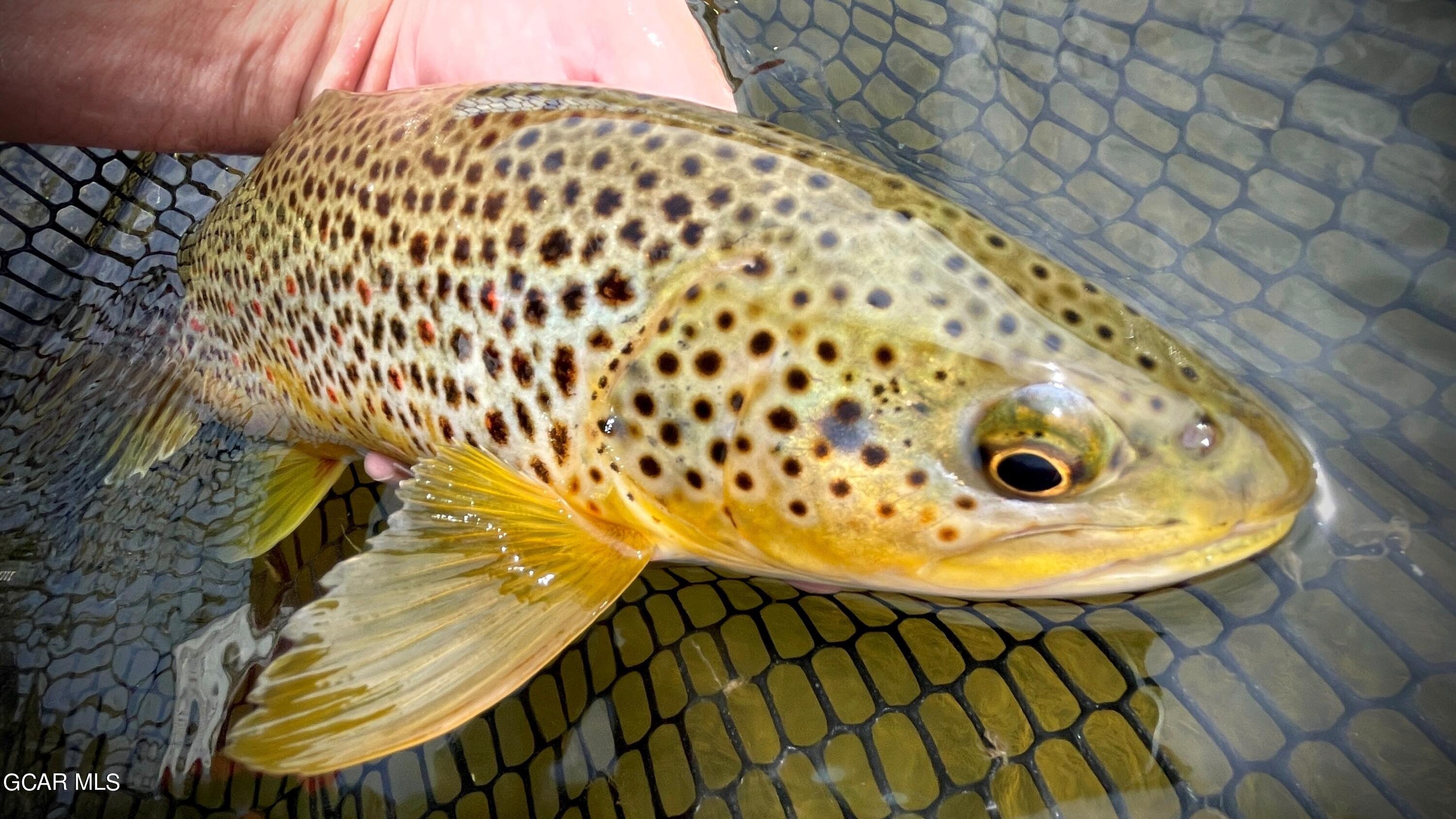 1921 Highway 9 Kremmling, CO 80459 - Photo 37 of 86 a bathroom with a sink and mirror