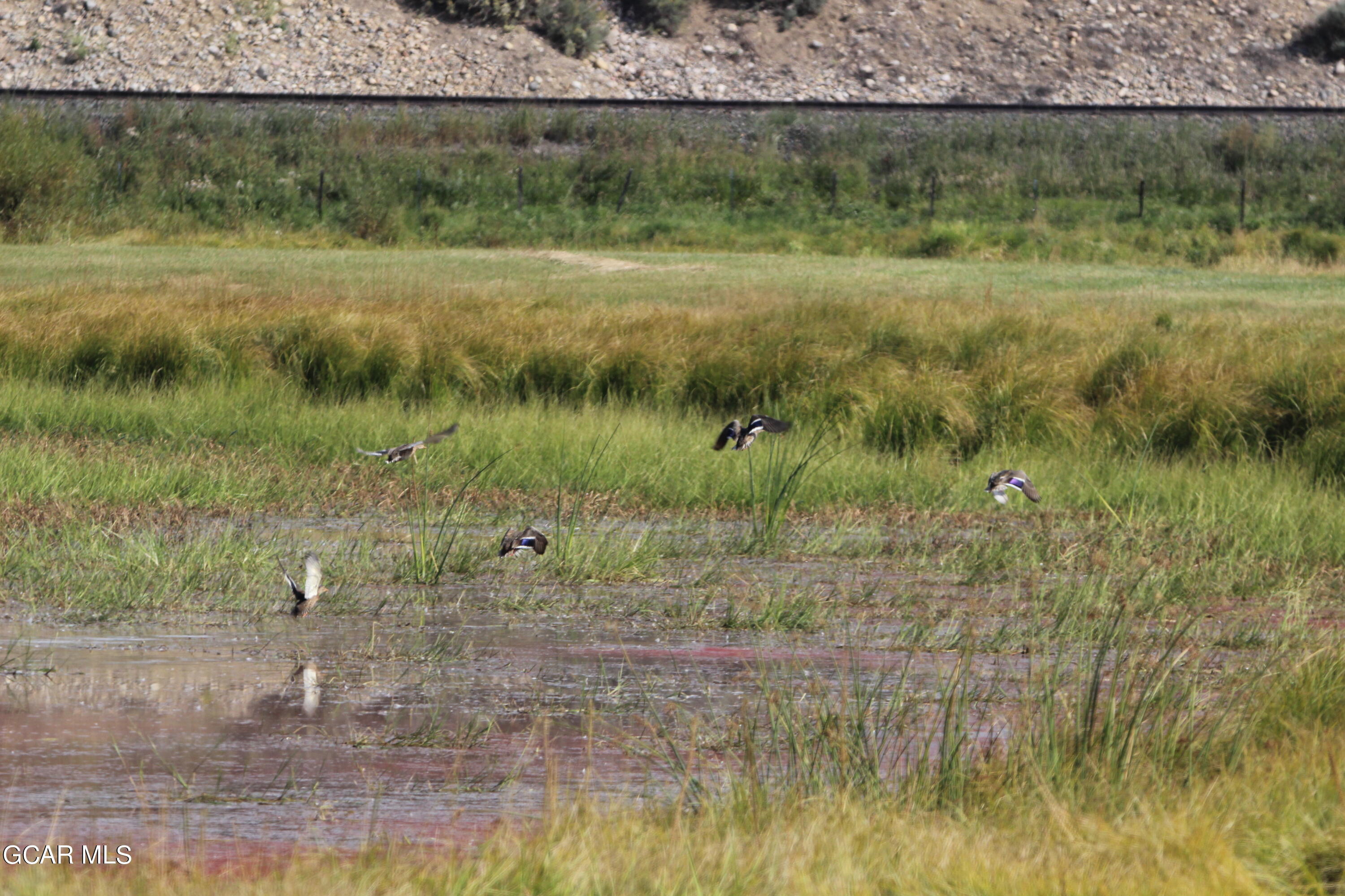 1921 Highway 9 Kremmling, CO 80459 - Photo 39 of 86 IMG_1849