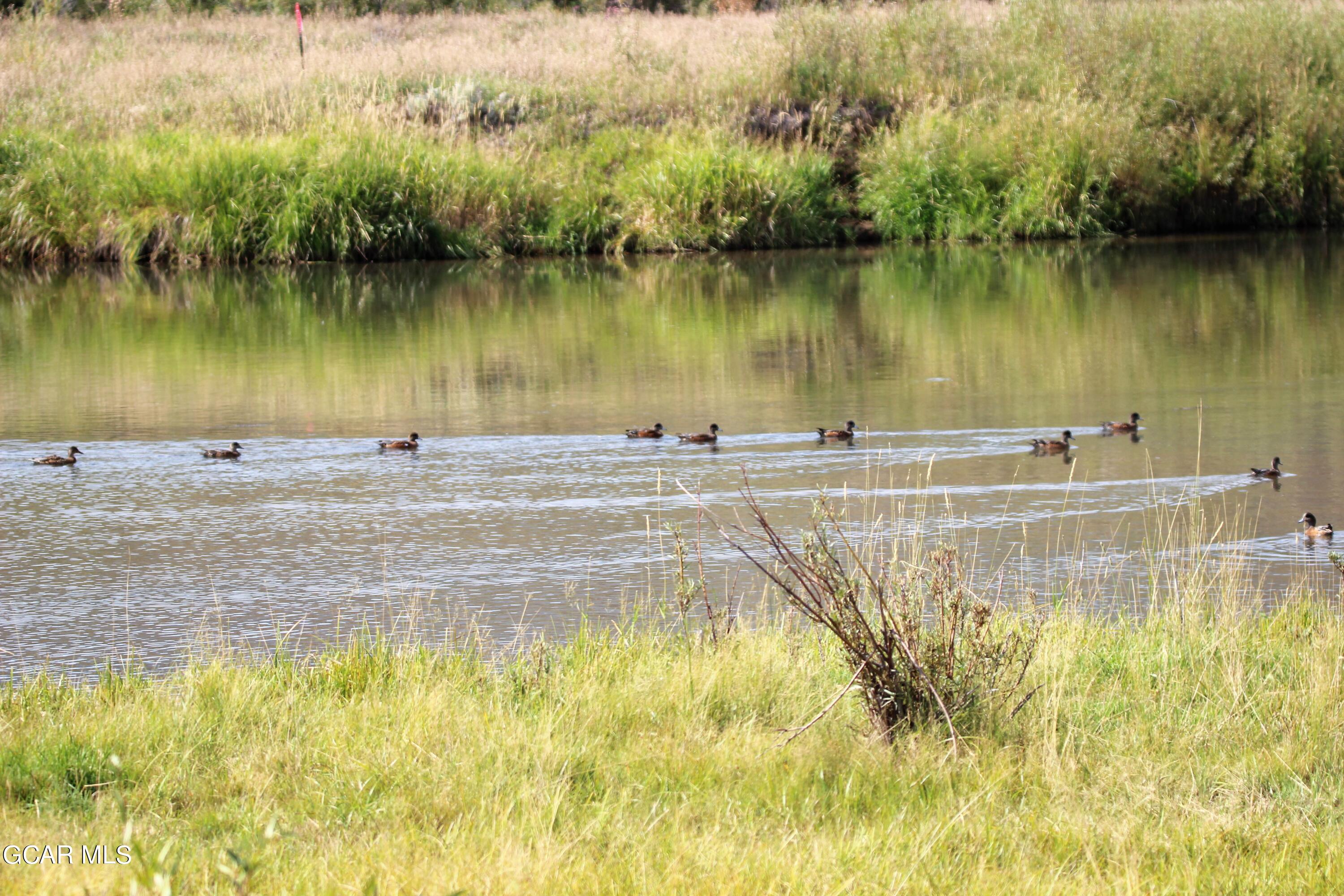 1921 Highway 9 Kremmling, CO 80459 - Photo 43 of 86 IMG_1859