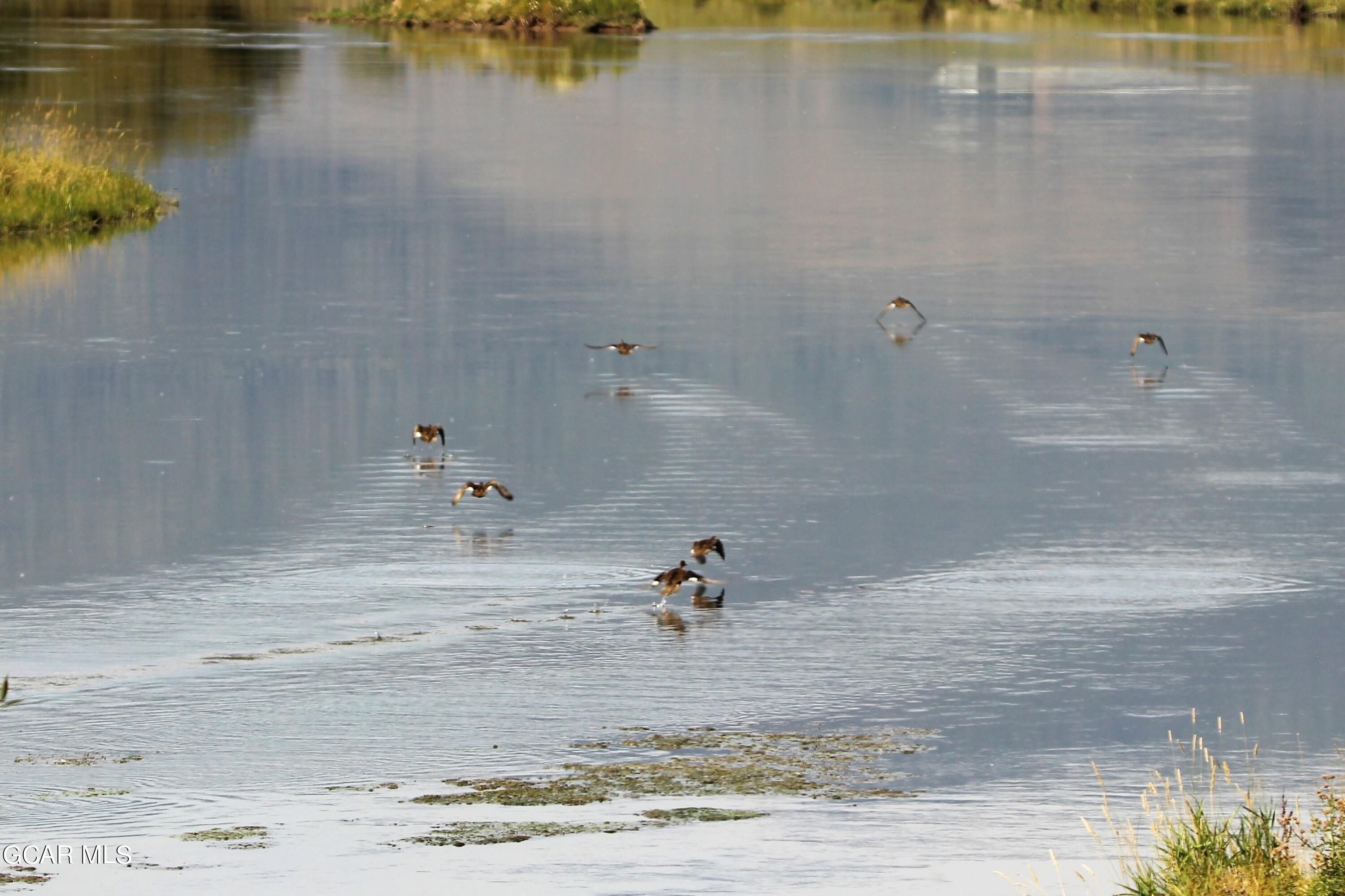 1921 Highway 9 Kremmling, CO 80459 - Photo 48 of 86 a view of a lake view
