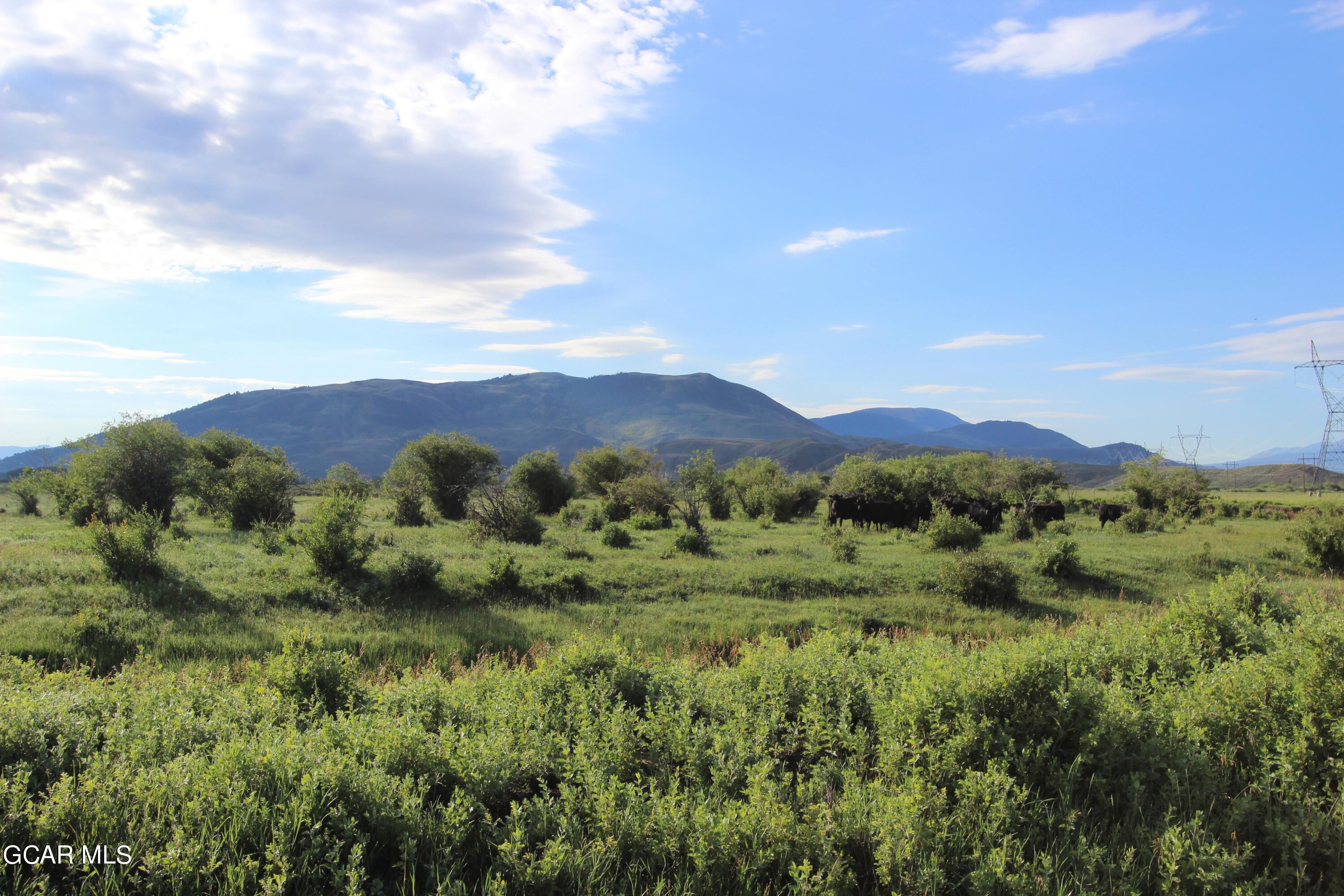 1921 Highway 9 Kremmling, CO 80459 - Photo 80 of 86 a view of a lush green forest with mountains in the background
