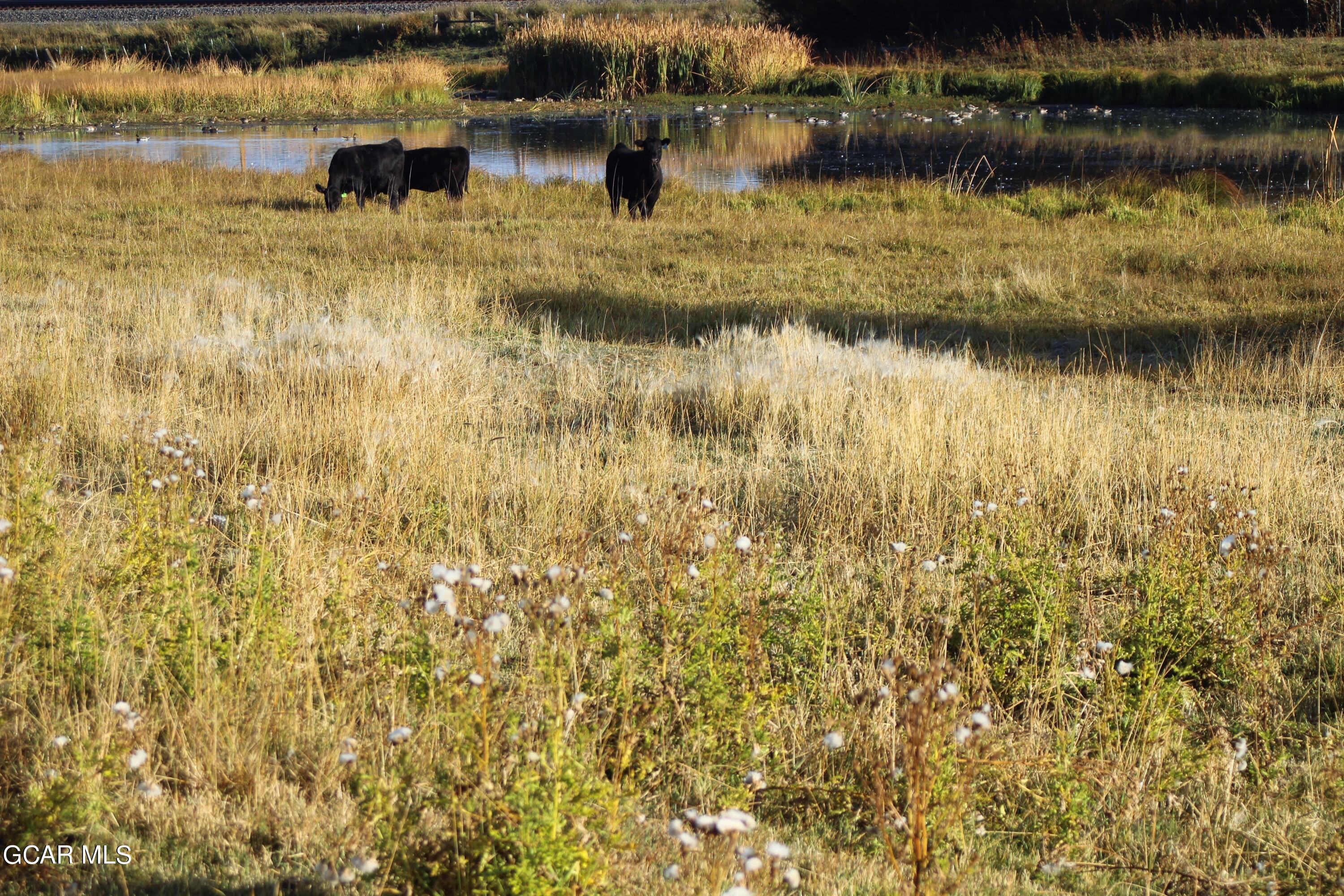 1921 Highway 9 Kremmling, CO 80459 - Photo 86 of 86 a view of a lake view