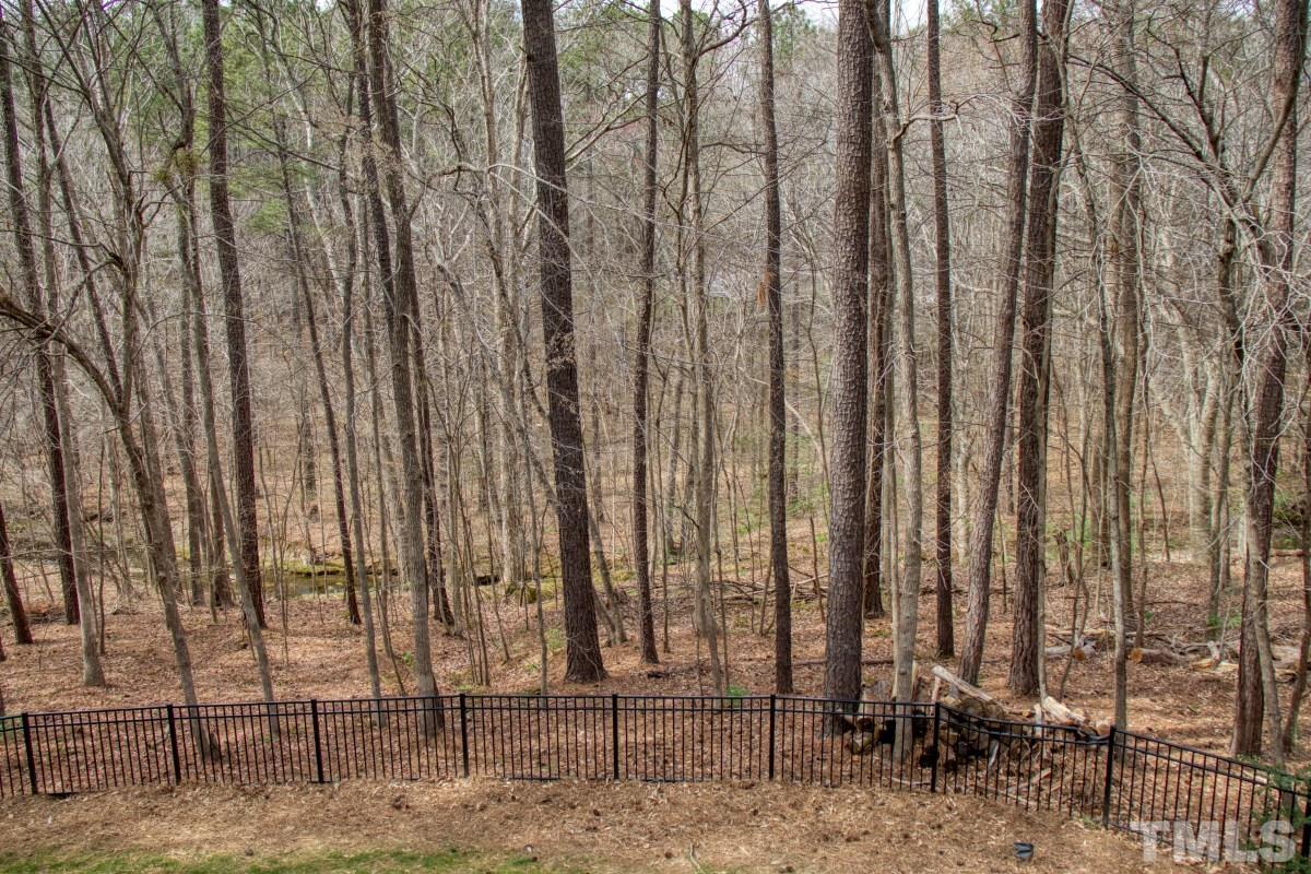 5809 Valley Mist Court Raleigh, NC 27613 - Photo 23 of 33