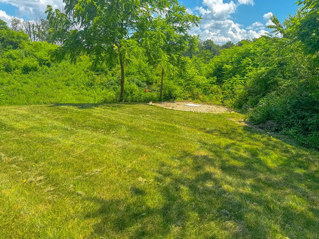 200 Coleman Road Max Meadows, VA 24360 - Photo 33 of 35 Gallery Image 33