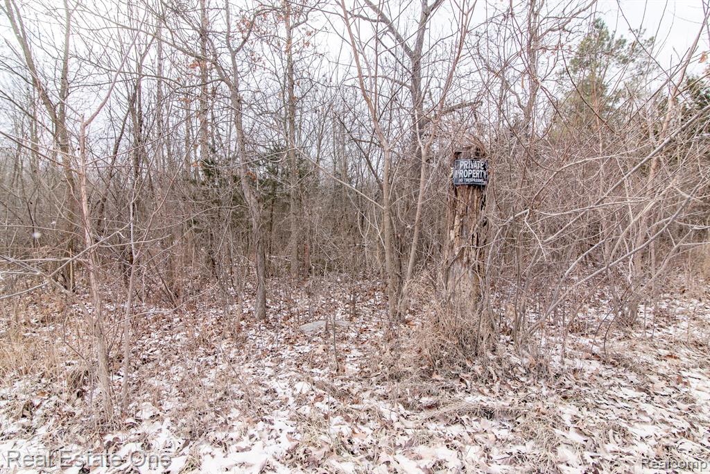 9061 Spencer Road Whitmore Lake, MI 48189 - Photo 4 of 15