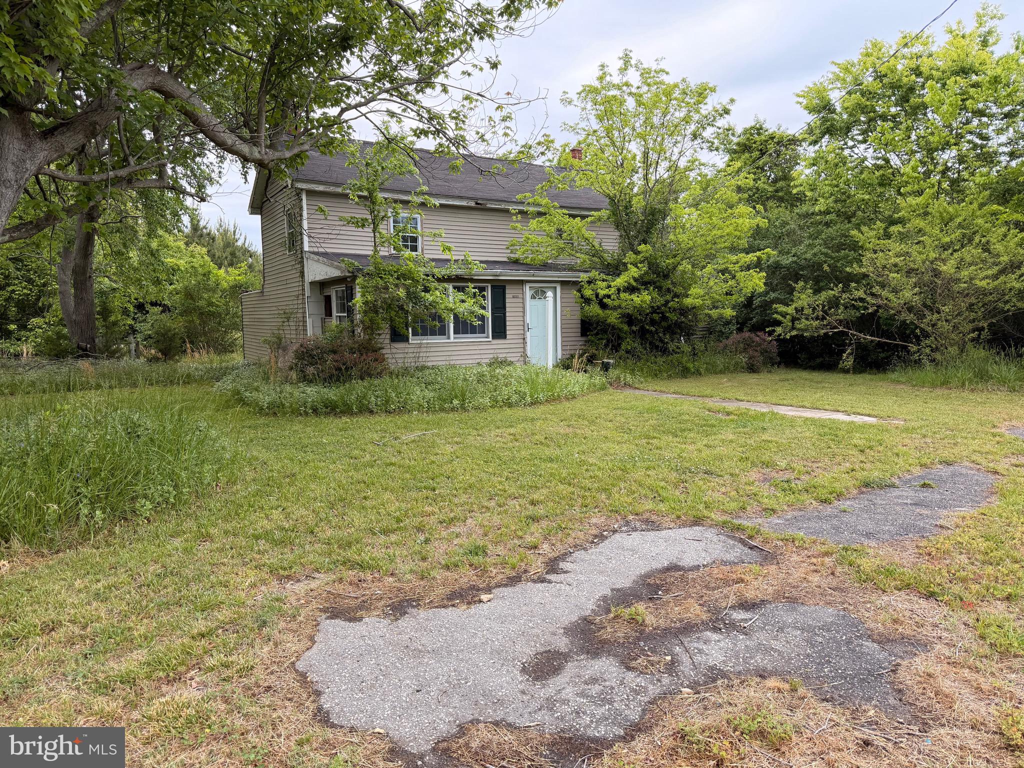 23686 Earl Webster Road Chance, MD 21821 - Photo 3 of 14 a view of a backyard