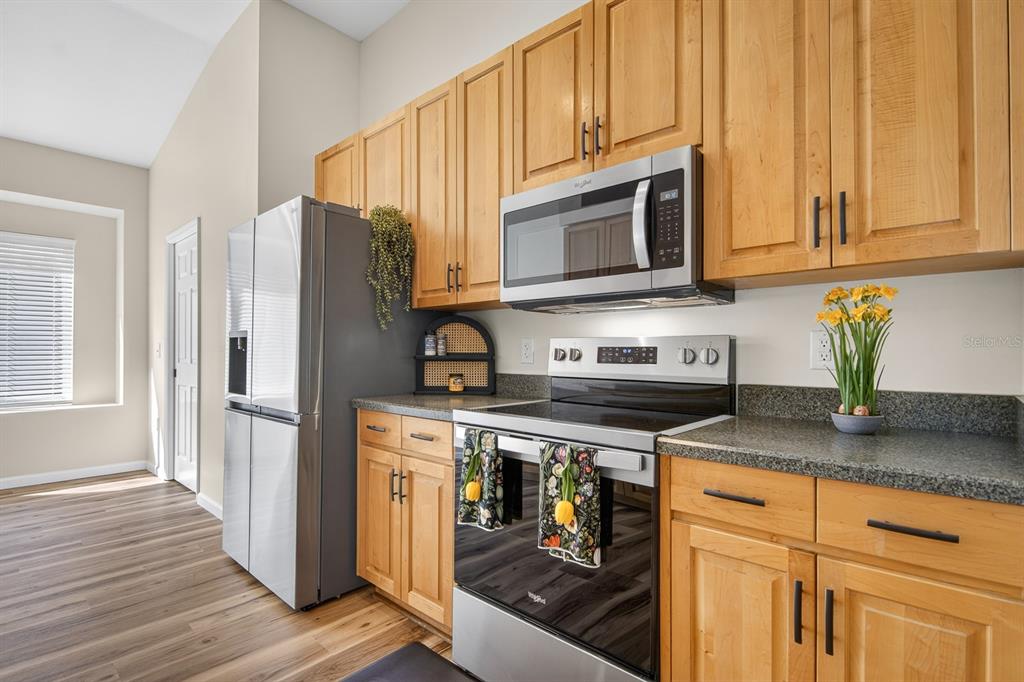 6002 Martinglade Place Lithia, FL 33547 - Photo 13 of 62 a kitchen with stainless steel appliances granite countertop a refrigerator stove and sink
