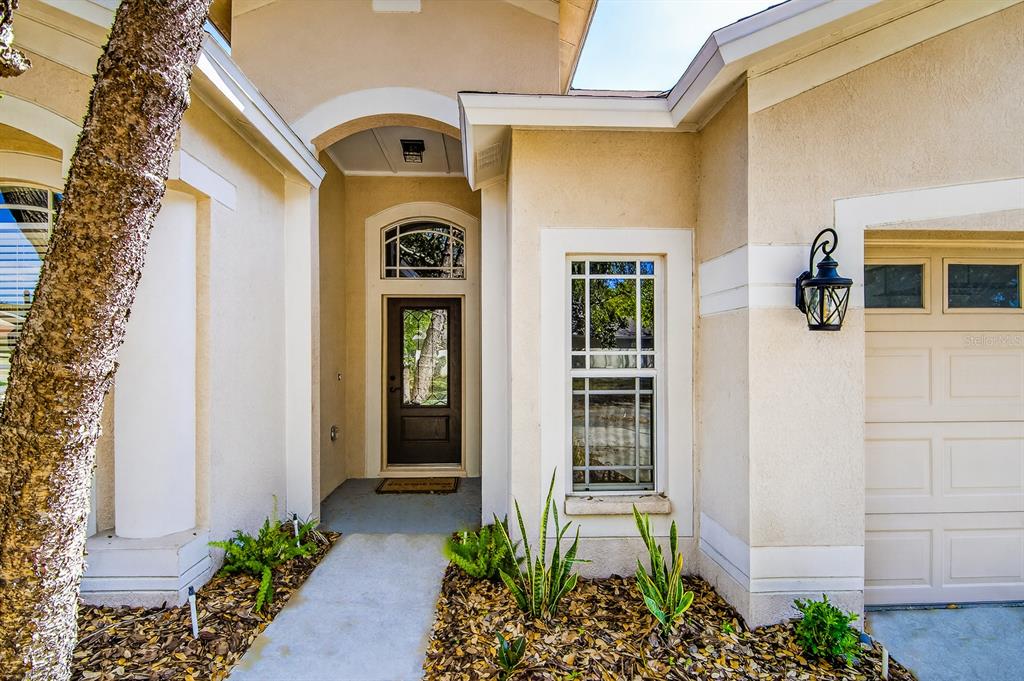 6002 Martinglade Place Lithia, FL 33547 - Photo 2 of 62 a front view of a house with a yard