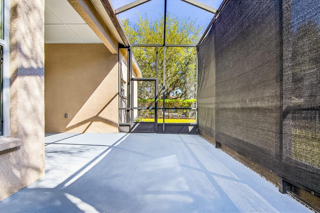 6002 Martinglade Place Lithia, FL 33547 - Photo 44 of 62