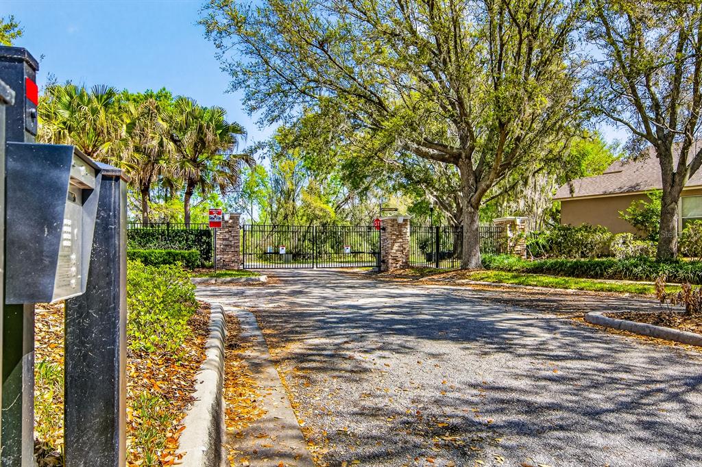 6002 Martinglade Place Lithia, FL 33547 - Photo 55 of 62 a view of a yard with plants and trees