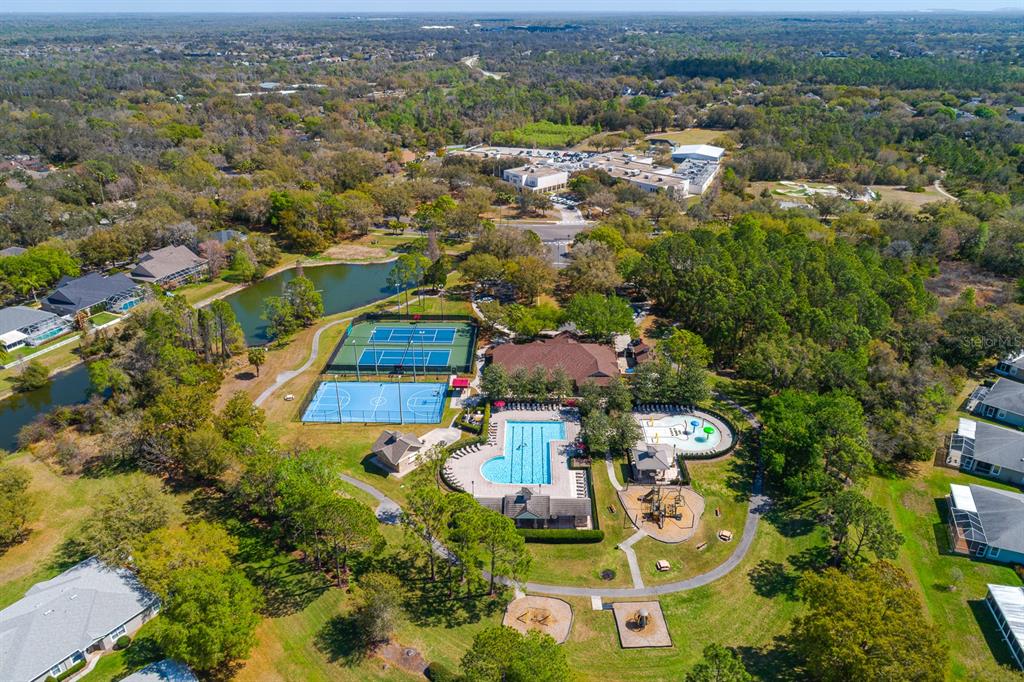 6002 Martinglade Place Lithia, FL 33547 - Photo 58 of 62 an aerial view of residential houses with outdoor space