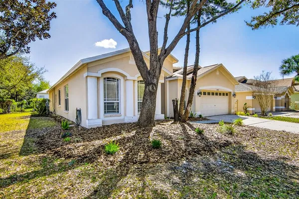 $575,000 | 6002 Martinglade Place, Lithia, FL 33547
