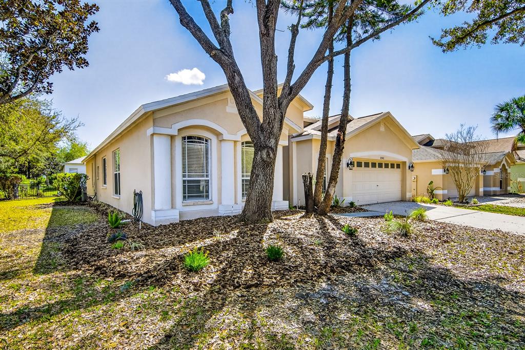 6002 Martinglade Place Lithia, FL 33547 - Photo 60 of 62 a view of a large house with a yard and large tree