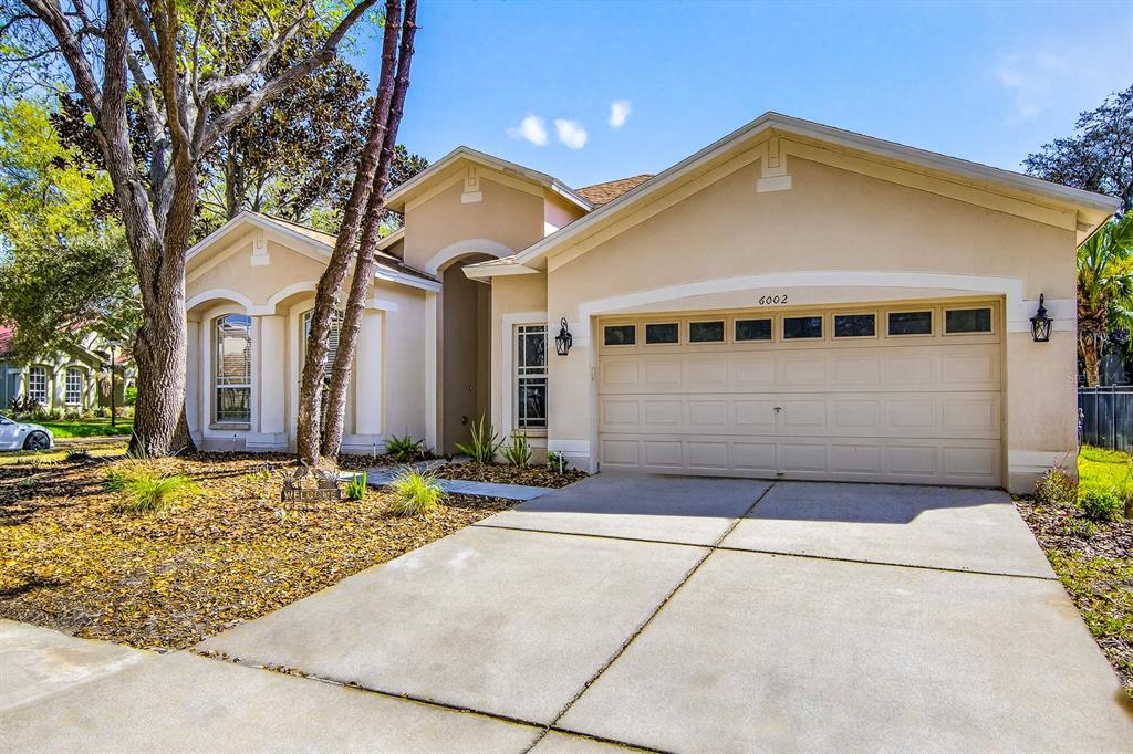 6002 Martinglade Place Lithia, FL 33547 - Photo 61 of 62 a front view of a house