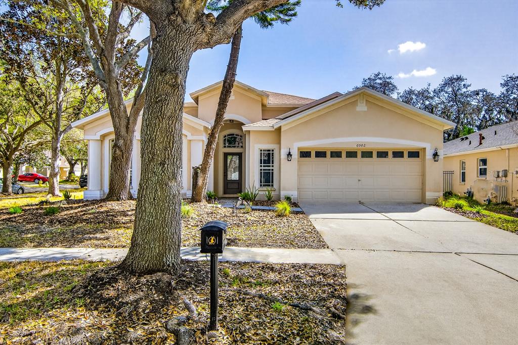 6002 Martinglade Place Lithia, FL 33547 - Photo 62 of 62 a front view of a house with garden