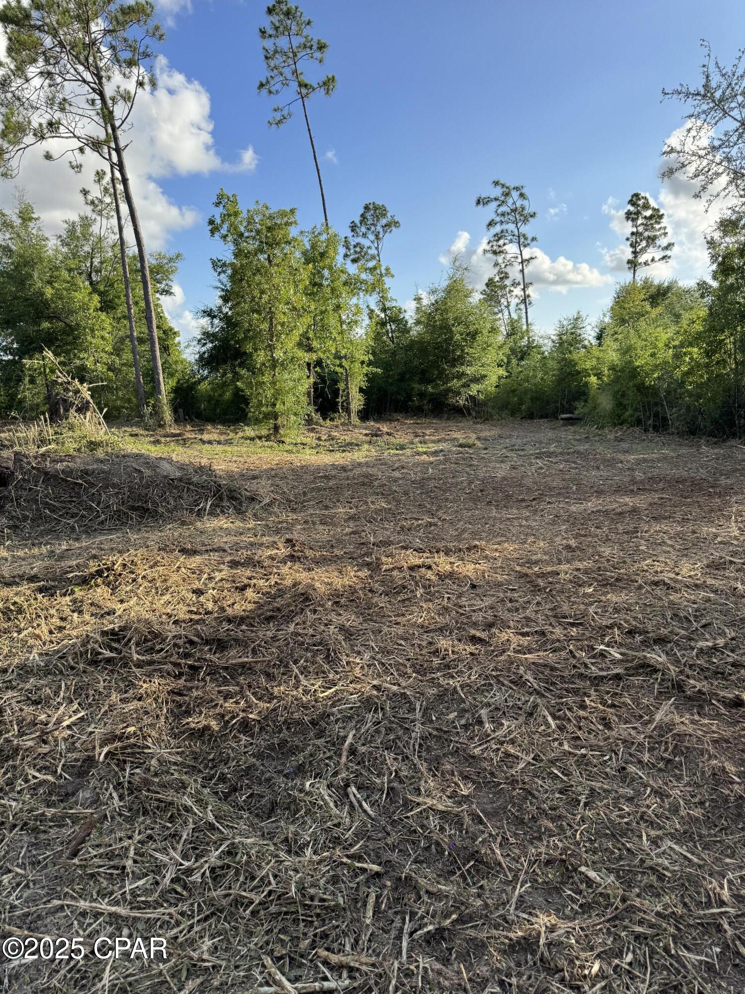 7214 Roadrunner Road Youngstown, FL 32466 - Photo 5 of 21