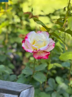 $1,648,000 | 109 Posada Court, San Ramon, CA 94583