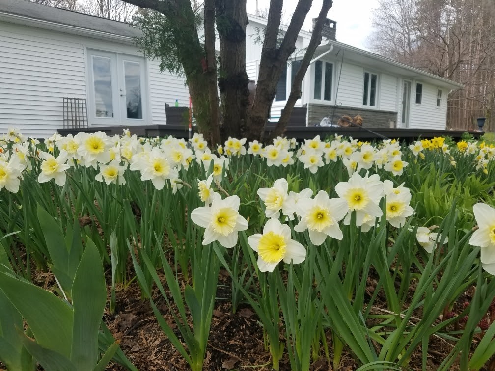 235 Billsboro Road Geneva Town, NY 14456 - Photo 1 of 1