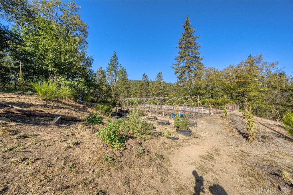 8255 High Valley Road Cobb, CA 95426 - Photo 33 of 49 Gallery Image 33