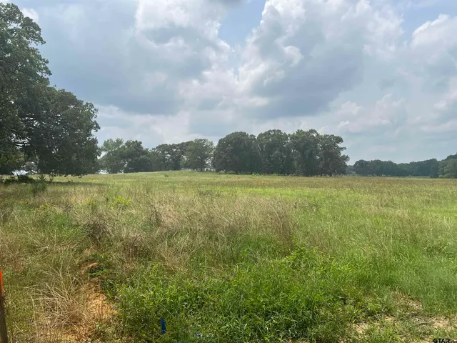 a view of a lake with a big yard