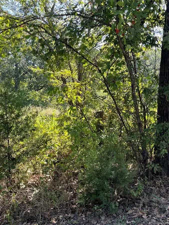 $17,900 | 0 Pinewood Drive, Quinlan, TX 75474