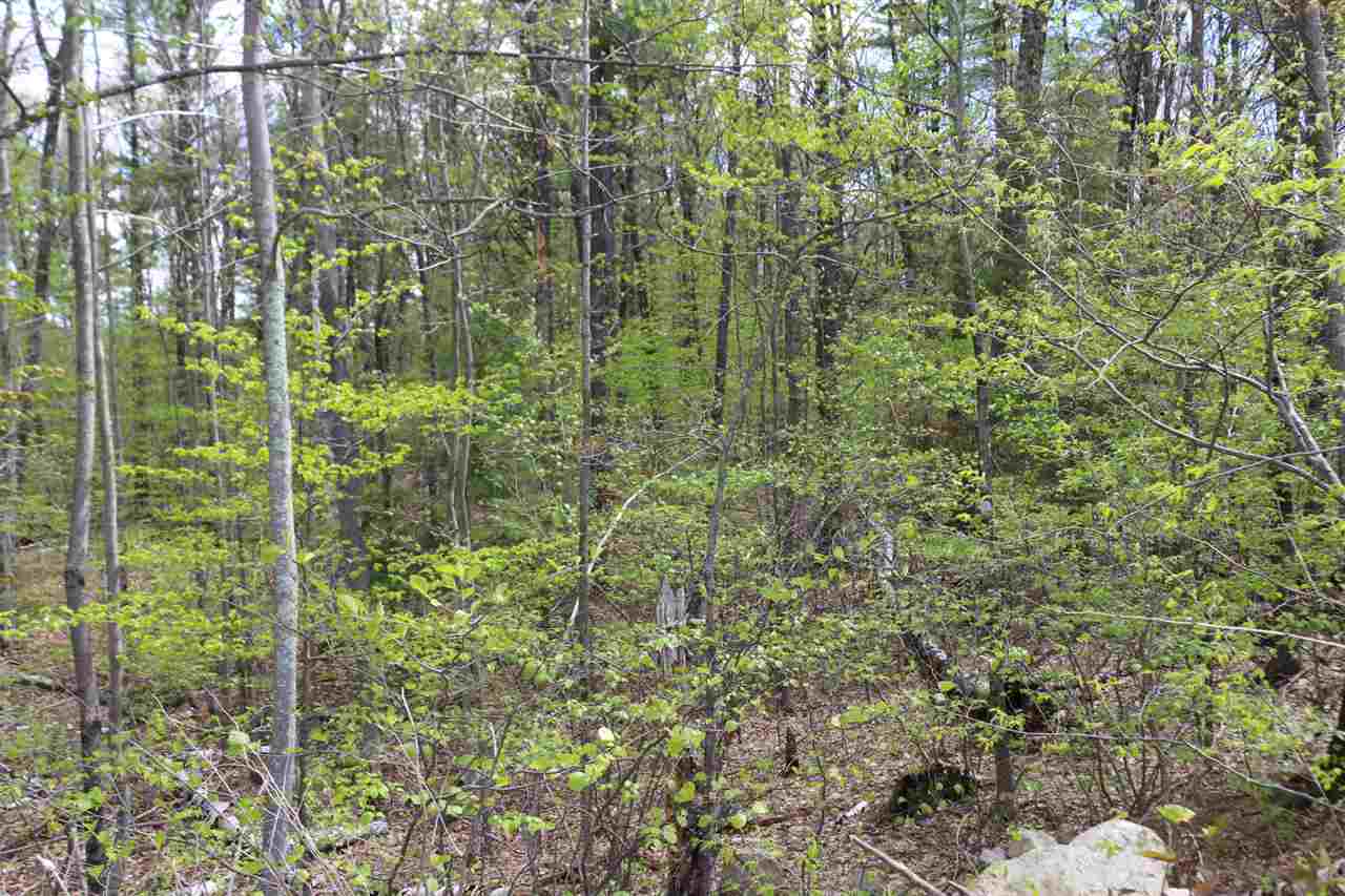 18 Ludlow Road Windham, NH 03087 - Photo 11 of 17
