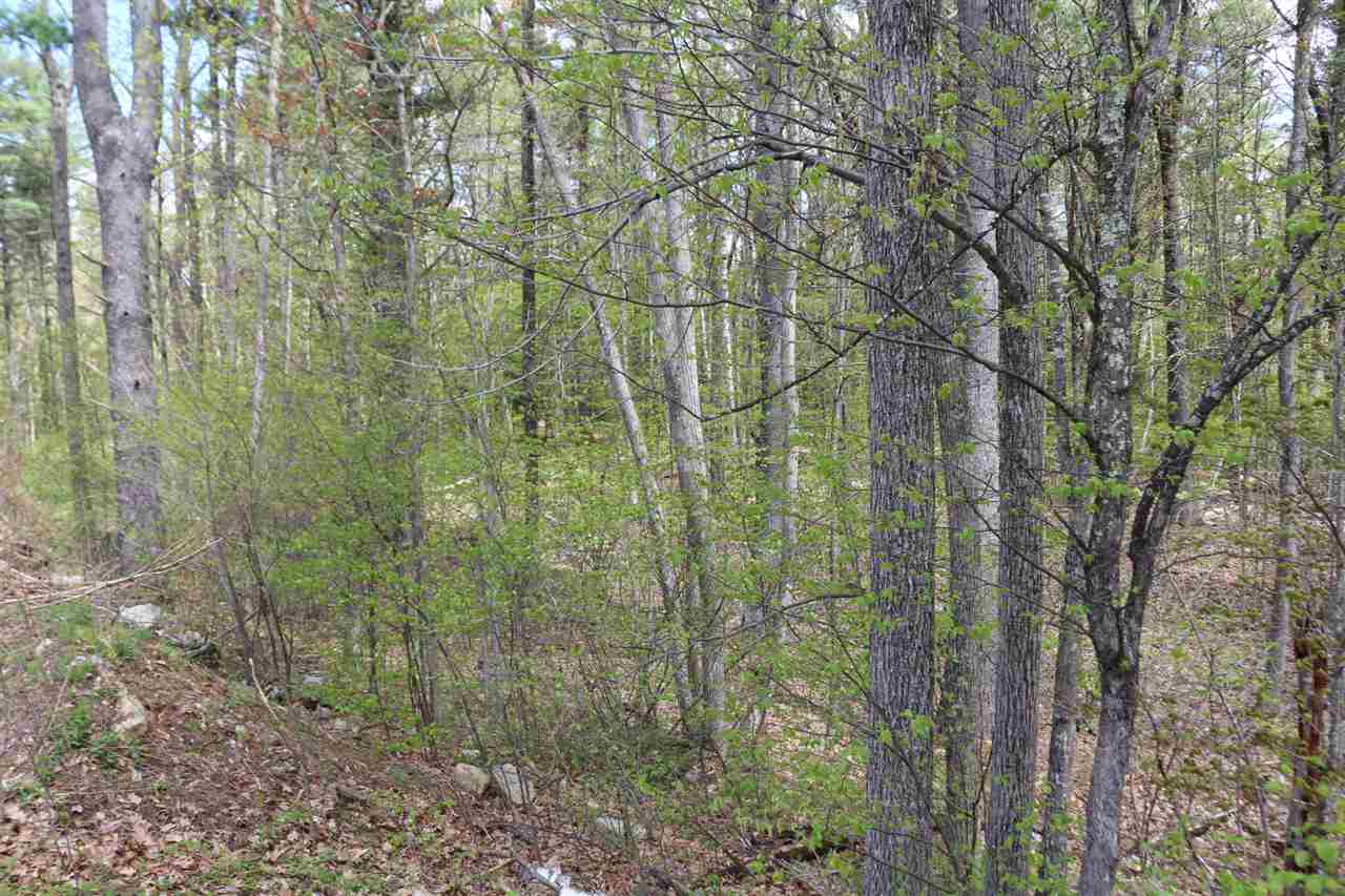 18 Ludlow Road Windham, NH 03087 - Photo 8 of 17