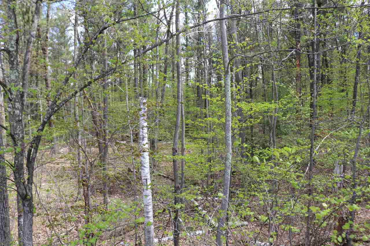 18 Ludlow Road Windham, NH 03087 - Photo 10 of 17