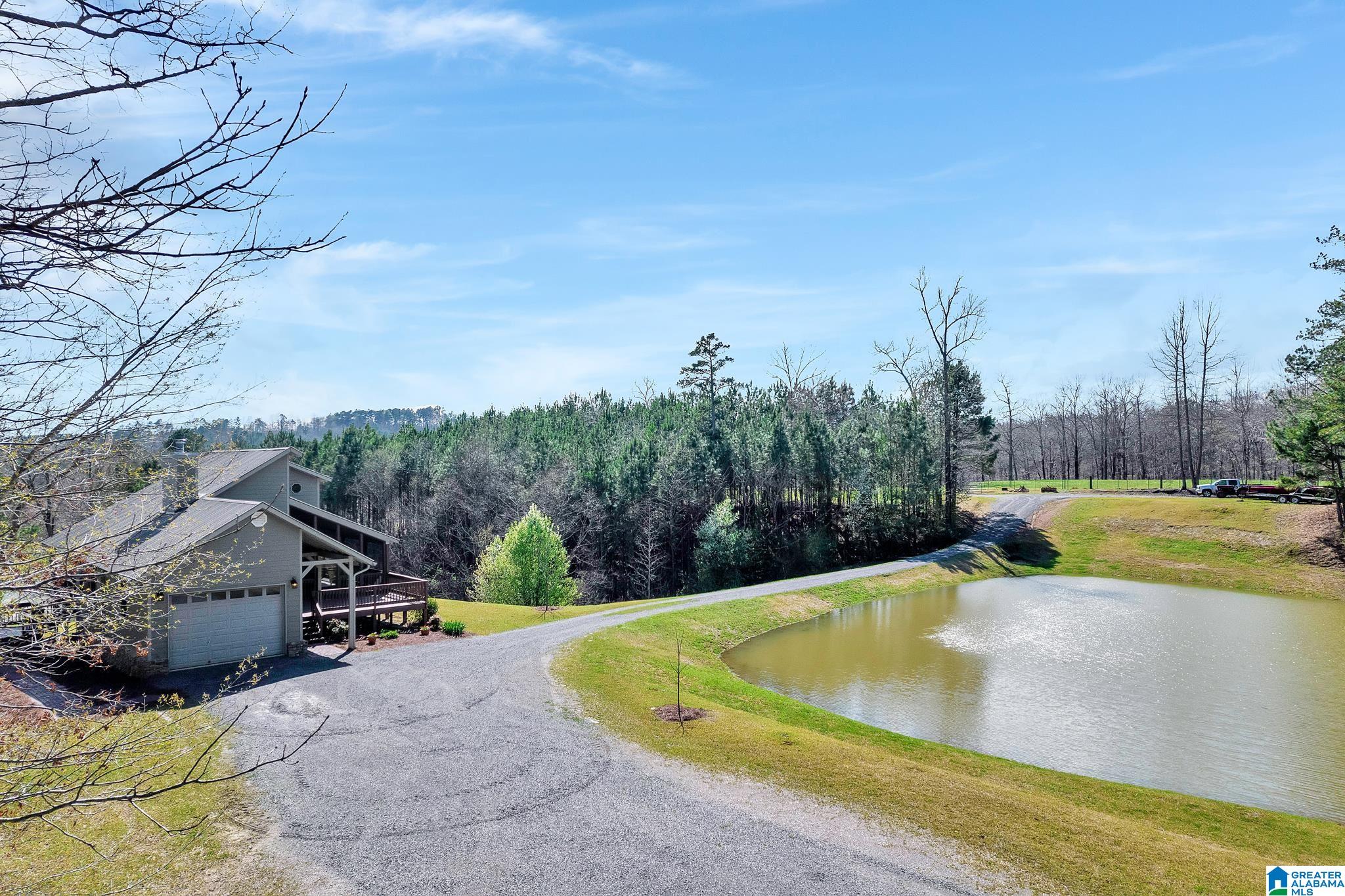 175 Skyview Trail Trafford, AL 35172 - Photo 50 of 50