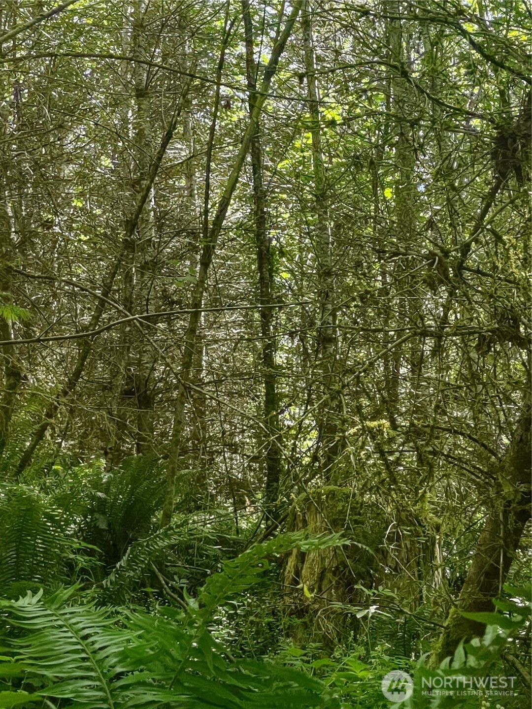 0 Glass Rd Port Port Angeles, WA 98362 - Photo 5 of 6 Gallery Image 5