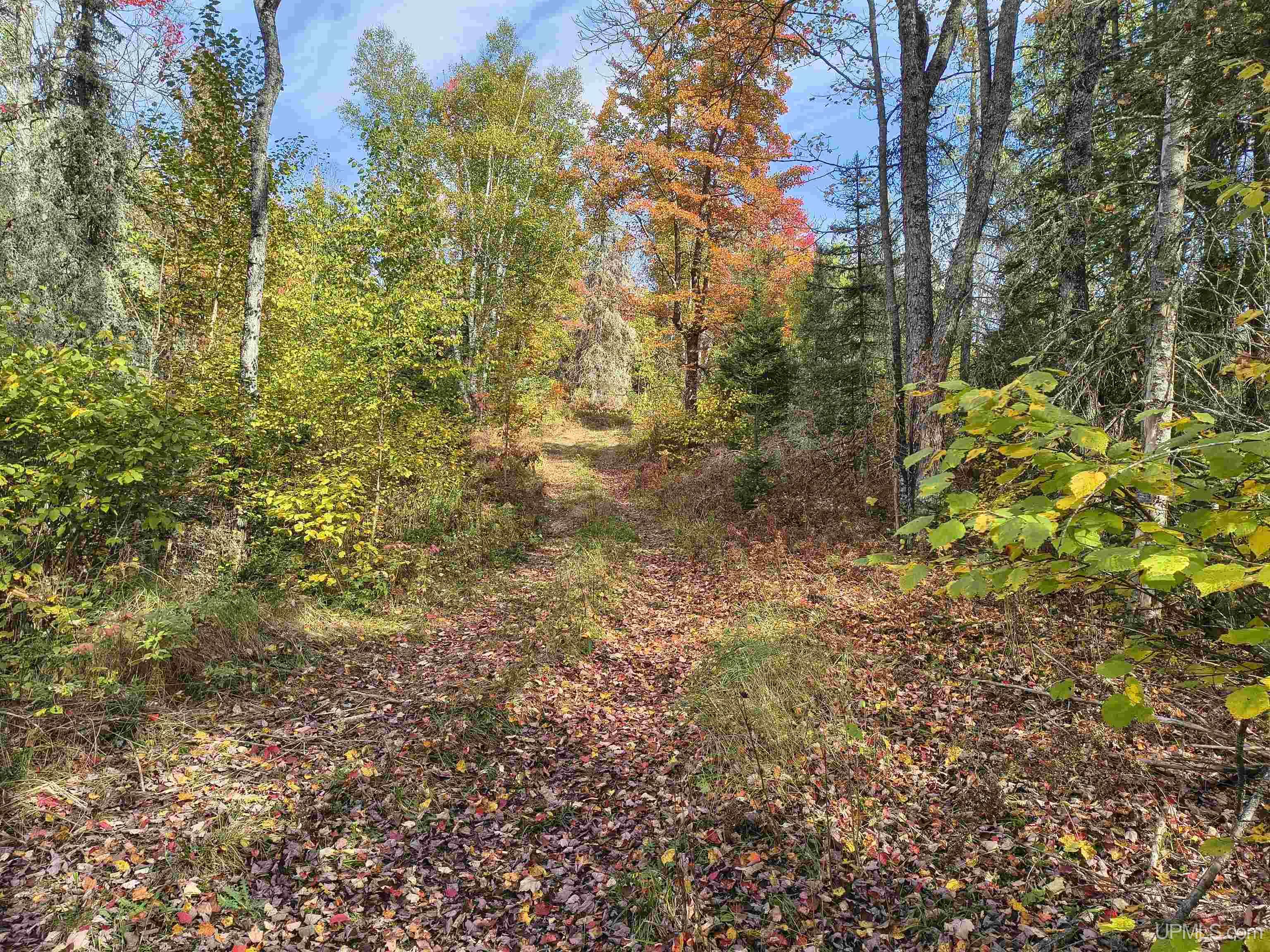 1 Rd Amasa Mi 49903 Road Crystal Falls, MI 49920 - Photo 26 of 33