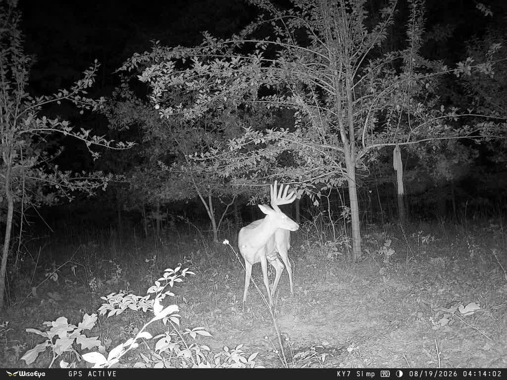 15 Hamilton-lee Road Lewisburg, KY 42256 - Photo 34 of 35 Gallery Image 34