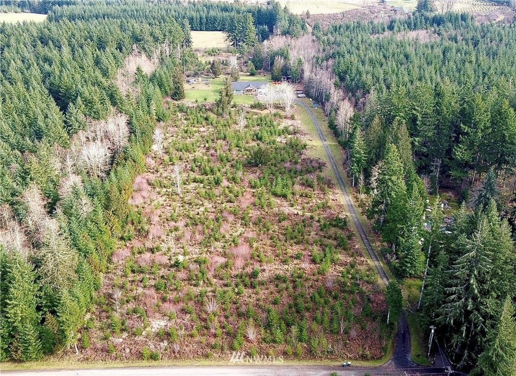 22004 Lee Road Southwest Centralia, WA 98531 - Photo 25 of 26 a view of a yard with plants